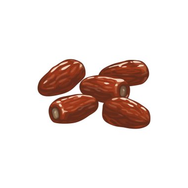 Kurutulmuş meyve, kuru yiyecek ikonu. Kuru hurma, meyveli şeker, diyet beslenme ve vejetaryen doğal organik gıda, tatlı malzemesi ve sağlıklı vejetaryen yiyecekler.