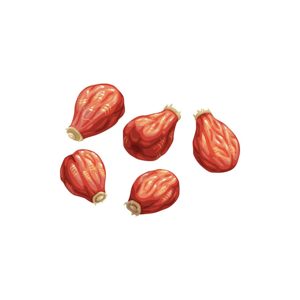 Rosa Mosqueta Frutas Secas Alimentos Secos Snacks Vector Icono Rosa — Archivo Imágenes Vectoriales