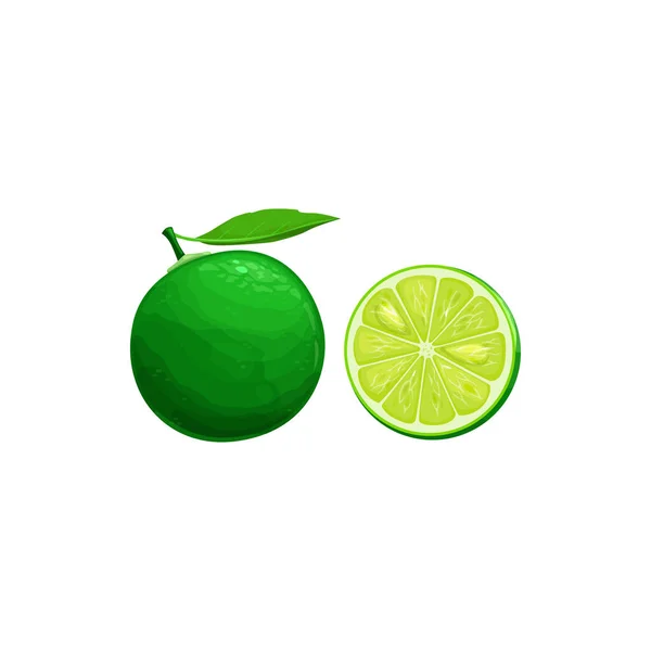 Sudachi Fruit Exotische Japanse Citrusvruchten Tropische Voedsel Vector Geïsoleerde Pictogram — Stockvector