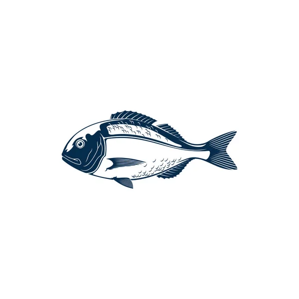 金網の頭鯛の分離スパルス アウラータ塩水魚 地中海で発見された鯛科のオラタやドラダの魚 魚介類と水中動物のアイコン — ストックベクタ