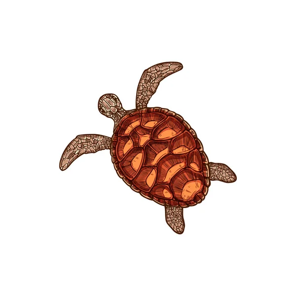 Turtle Isolated Nautical Tortoise Sketch Vector Monochrome Marine Animal Sea — Stock Vector