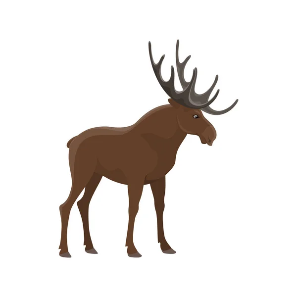 Elk Divoké Zvíře Vektor Izolované Ikony Zoo Savec Los Lov — Stockový vektor