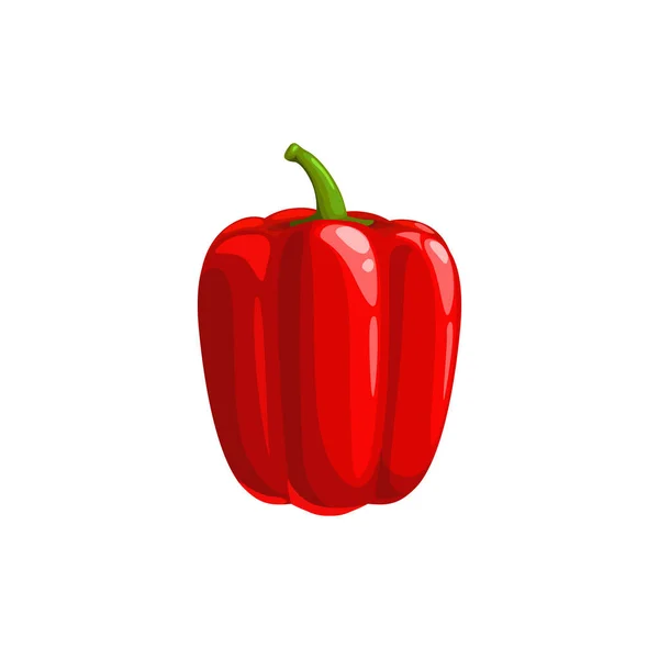 Zoete Bulgaarse Peper Geïsoleerde Veggie Realistisch Ontwerp Vector Eetbare Belpeper — Stockvector