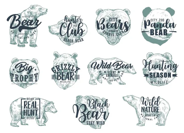 Bear Bocetos Animales Con Letras Iconos Vectoriales Deporte Caza Club — Vector de stock