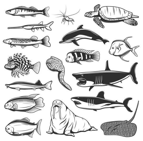 海洋サメ イルカ エビやエビの孤立したアイコンと海の魚や動物のベクトルのデザイン ウミガメ モレイウナギ エイやパイク ワラス ライオンフィッシュやザリガニ 海洋動物 魚介類のデザイン — ストックベクタ