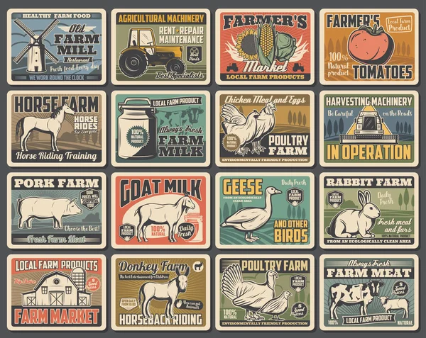 Agricoltura Agricoltura Manifesti Retrò Animali Vettori Verdura Latte Fattoria Progettazione — Vettoriale Stock