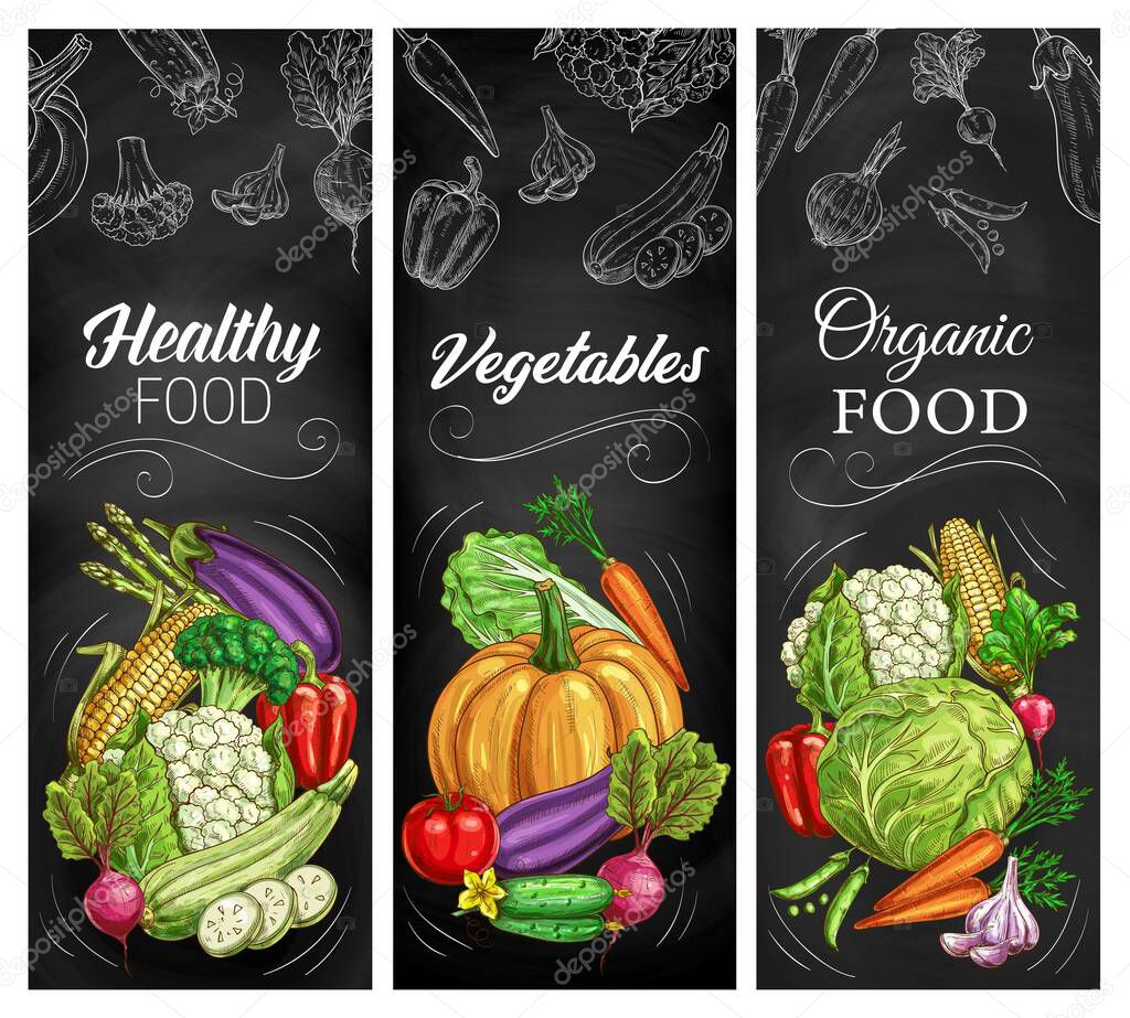 Vegetable sketches on chalkboard, vector farm and garden food. Carrot, tomato, pepper and cabbage, broccoli, garlic, radish and zucchini, corn, asparagus, pumpkin and cucumber, blackboard banners