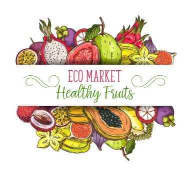Egzotik tropikal meyve eskizi, çiftlik yemeği, vektör el çizimi durian, papaya ve incir. Tropik meyve hasadı guava, karambola yıldız meyvesi ve lychee, pitaya ejderha meyvesi ve mangosteen