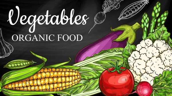 Croquis Légumes Sur Tableau Légumes Alimentaires Ferme Aliments Verdure Vecteur — Image vectorielle