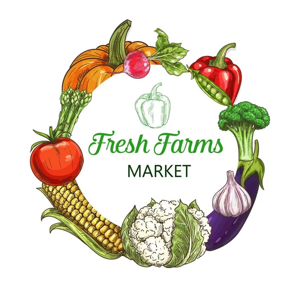 Skizzenrahmen Für Bauerngemüse Ernte Auf Dem Lebensmittelmarkt Und Grüne Produkte — Stockvektor