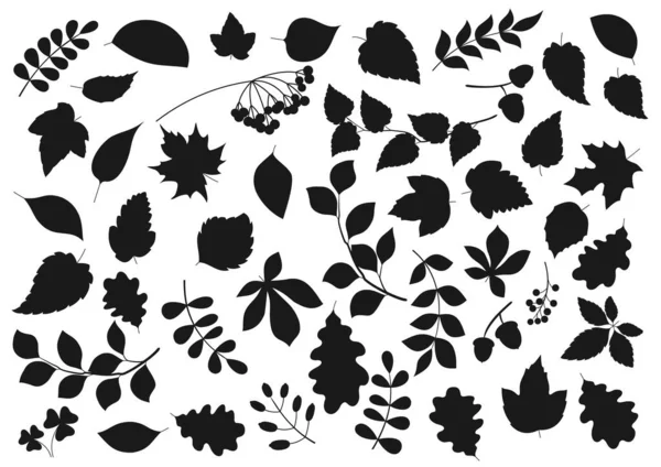 Feuilles Arbres Graines Plantes Isolées Icônes Silhouette Nature Flore Feuille — Image vectorielle