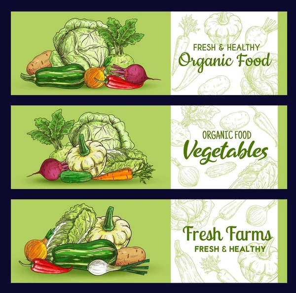 Croquis Légumes Agricoles Bannières Légumes Vecteurs Courge Pomme Terre Betterave — Image vectorielle