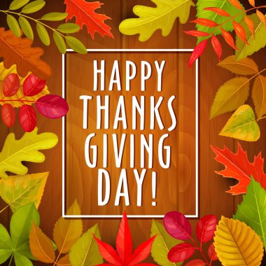Şükran Günü tebrik kartı ve ahşap arka planda sonbahar yaprakları. Sonbahar bayramı tebrik afişi, akçaağaç yaprağı, meşe ağacı, huş ağacı ve kümes bitkisi çerçevesi.