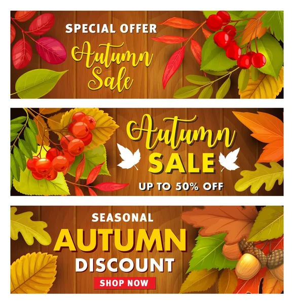 Promo Vectorielle Vente Automne Avec Des Baies Aubépine Rowan Feuilles — Image vectorielle