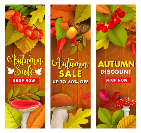Herbst Verkauf Herbst Saison Rabatt Preisangebot Umgefallene Blätter Weißdorn Und — Stockvektor