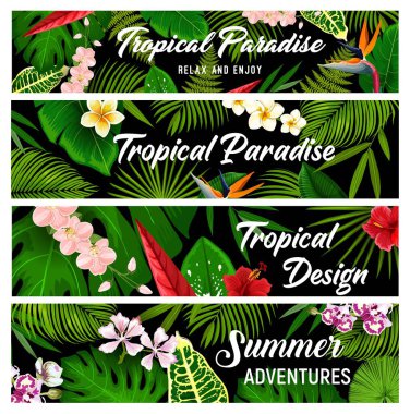 Tropik bitkiler ve çiçekler vektör bayrakları, egzotik palmiye yaprakları ve çiçekler. Çiçekli tropik Hawaii çiçekleri egzotik amber, plumeria, orkide ve strelitzia, eğrelti otu, canavar ve areca palmiyesi.