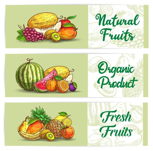 Fresh Fruits Sketch Banners Vector Agriculture Production Melon Grape Kiwi — Stock Vector