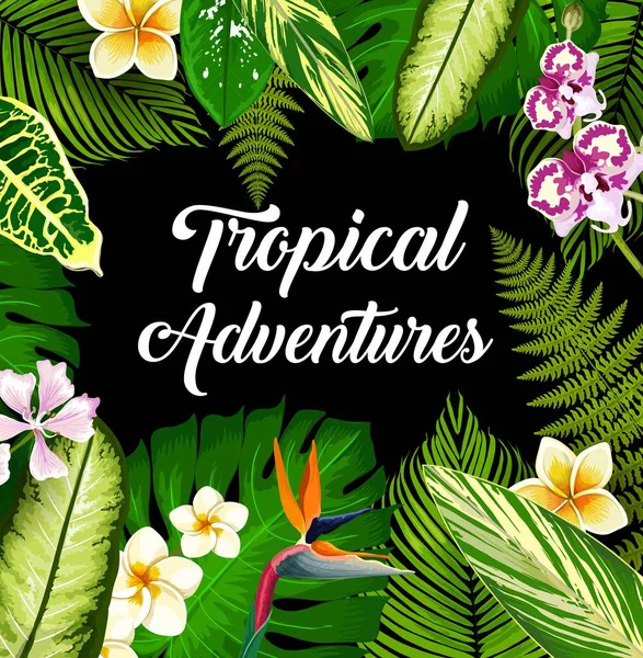 Plantes Fleurs Tropicales Affiche Vectorielle Feuilles Palmier Exotiques Fleurs Hawaiian — Image vectorielle