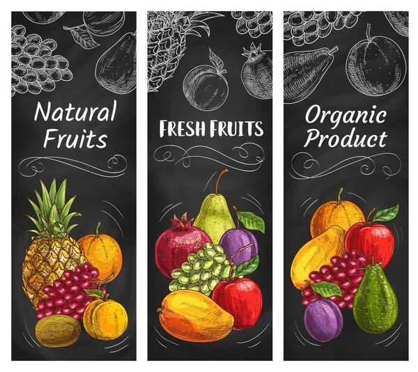 Gyümölcs Vázlatok Bannerek Trópusi Farm Piac Élelmiszer Ananász Narancs Alma — Stock Vector