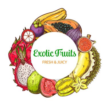 Tropikal meyve taşıyıcı yuvarlak pankart, eskiz karambola, guava, liçi ve pitahaya, mangosteen, papayalı tutku meyvesi, incir veya durian ile izole edilmiş çerçeve. El yapımı eko çiftliği egzotik çeşitliliği