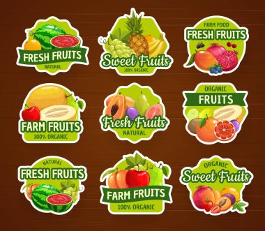 Meyve ikonları ve çıkartmalar, tropikal gıda pazarları, vektör etiketleri. Meyveler ve meyveler ananas, portakal ve elma, egzotik mango, şeftali ve limon, kayısı, üzüm ve nar meyvesi.