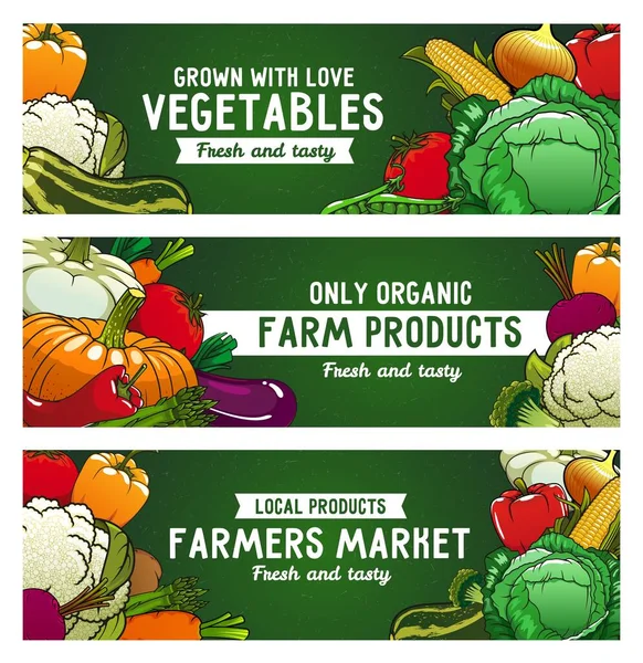 Λαχανικά Vector Banners Farm Food Ντομάτα Πιπεριά Και Κουνουπίδι Παντζάρι — Διανυσματικό Αρχείο