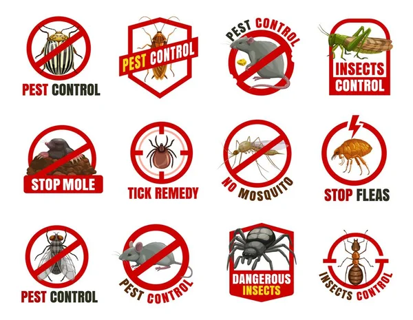 Control Plagas Iconos Vectoriales Aislados Escarabajo Colorado Cucaracha Rata Con — Archivo Imágenes Vectoriales