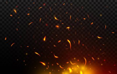 Şenlik ateşi, yükselen kıvılcımlar, yanan kırmızı ve turuncu parçacıklar. Havada kıvılcımlar uçuşan gerçekçi üç boyutlu ateş alevi. Ateş fırtınası ve balefire siyah şeffaf arkaplanda izole edildi