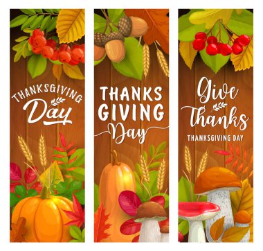 Sonbahar hasat bayramının Şükran Günü taşıyıcı pankartları. Tahta arka planda düşmüş yapraklar, balkabağı sebzeleri ve mantarlar, palamut dalları, buğday, yabanmersini ve akçaağaç yaprağı sınırı