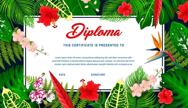 Diploma Crianças Com Plantas Tropicais Flores Certificado Educação Vetorial Quadro — Vetor de Stock