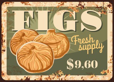 Kurumuş incir, paslı metal plaka, yiyecek tatlısı ve tarım pazarı fiyatı, taşıyıcı vintage poster. Doğal organik kurutulmuş incir meyveleri, paslı metal plaka ve dolar fiyatı.