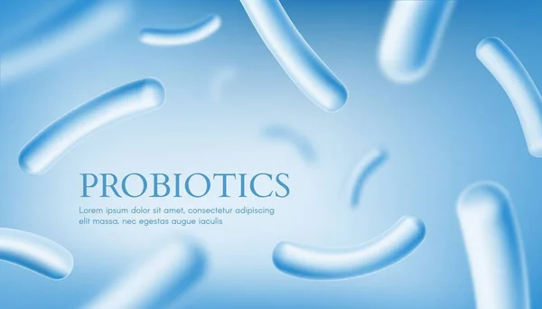 Probiotikakultur Darmmikrobiota Gesundheitsbanner Gesunde Menschliche Darmmikrobiota Bifidobakterienkolonie Darm Mikrobiom Und — Stockvektor