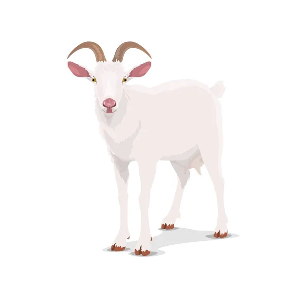 白いヤギ 漫画のベクトル乳母 中国のホロスコープ動物 中国の旧正月の干支のシンボル2027年 東洋文化と伝統 牛の農場ヤギのマスコットのフロントビュー隔離されたアイコン — ストックベクタ
