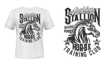 At eğitimi, binicilik kulübü tişört izi. El sallayan yeleli Arap aygırı kafası eski tasvir ve çirkin tipografi. At biniciliği kulübü özel tasarım baskı modeli