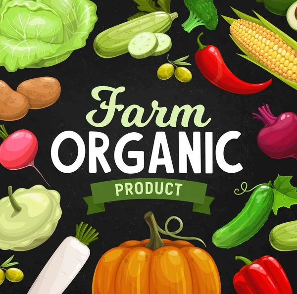 Farm Organic Vegetables Greenery Banner Farmer Vegetables Harvest Fresh Organic — Stock Vector