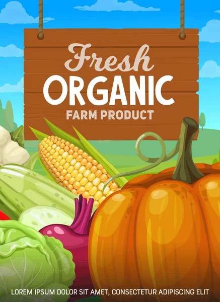 Organic Farm Fresh Vegetables Banner Farmer Natural Food Products Veggies — Stock Vector