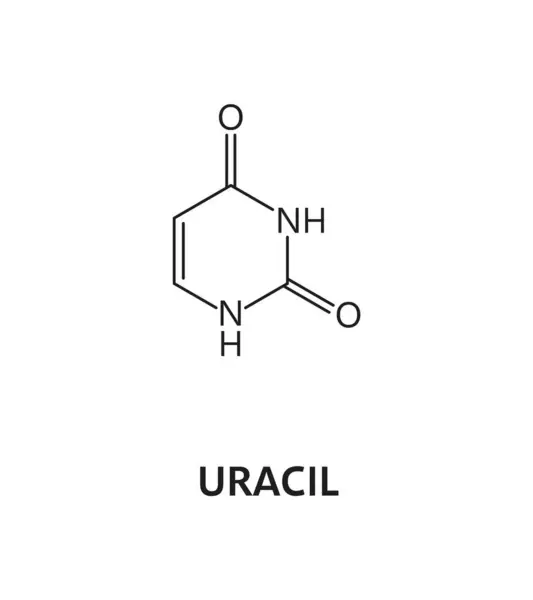 Ácido Nucleico Uracilo Base Nitrogenada Fórmula Nitrógeno Hidrógeno Dna Nitrogenous — Vector de stock