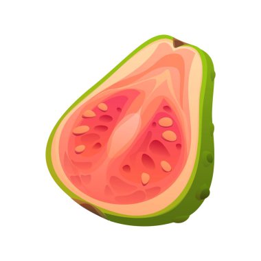 Çizgi film tropik olgunlaşmış çiğ guava meyvesi açık yeşil derili ve küçük yenilebilir tohumlarla dolu pembe sulu posalı. İzole edilmiş vektör taze tatlı ve aromatik egzotik bitki C vitamini ve lif açısından zengin.