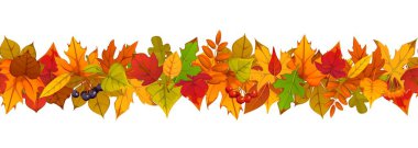 Sonbahar sonbahar sınır ayracı turuncu, kırmızı ve sarı akçaağaç, meşe ve yaban mersini yaprakları ile. Konforlu mevsimlik güz çelengi. Şükran Günü ya da hasat bayramı için vektör mevsimlik afişi