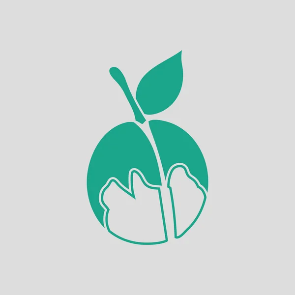 モモのアイコン 緑と灰色の背景 ベクトル図 — ストックベクタ