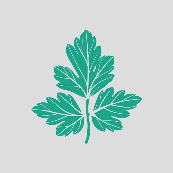 Icono Perejil Fondo Gris Con Verde Ilustración Vectorial — Vector de stock