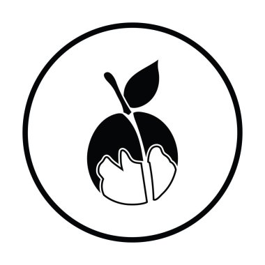 Şeftali ikonu. İnce daire tasarımı. Vektör illüstrasyonu.