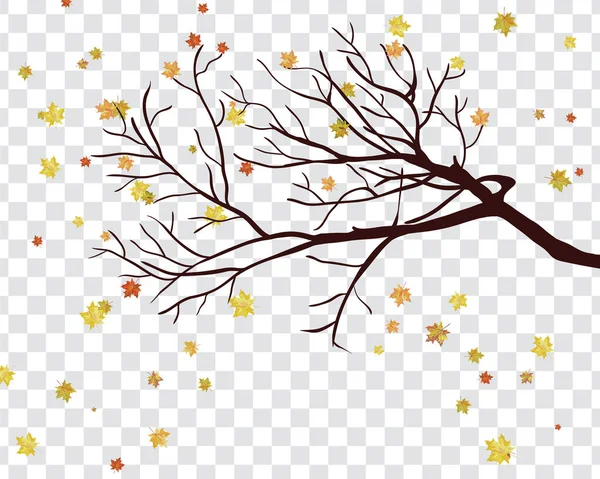 Φθινόπωρο Καρέ Πτώση Φύλλα Σφενδάμου Διαφάνεια Άλφα Πλέγμα Φόντο Εικονογράφηση — Διανυσματικό Αρχείο