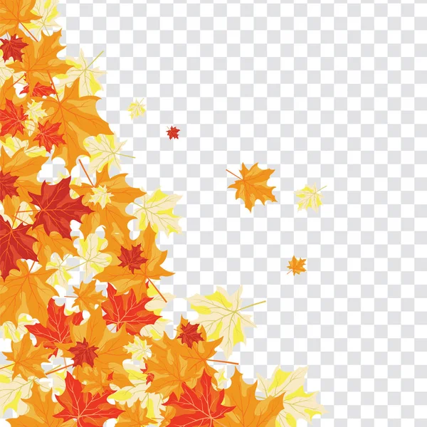 Autumn Frame Falling Maple Leaves Transparency Alpha Grid Background Vector — Stock Vector