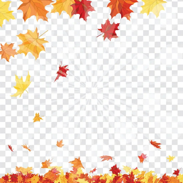 Autumn Frame Falling Maple Leaves Transparency Alpha Grid Background Vector — Stock Vector