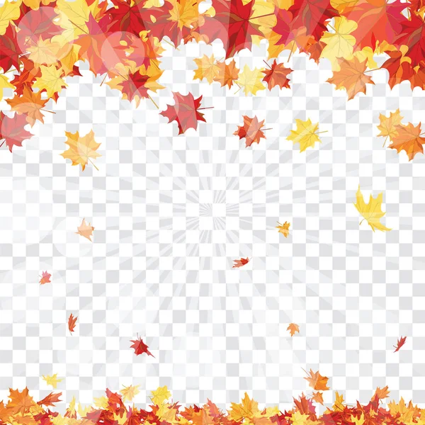 Autumn Frame Falling Maple Leaves Transparency Alpha Grid Background Vector — Stock Vector