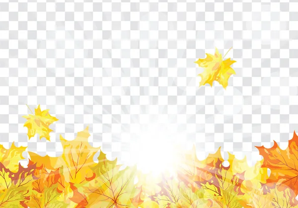 Autumn Frame Falling Maple Leaves Transparency Alpha Grid Background Vector — Stock Vector