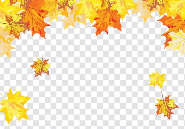 Herbstrahmen Mit Fallenden Ahornblättern Auf Transparentem Alpha Gitterhintergrund Vektorillustration — Stockvektor