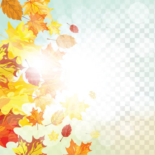 Φθινόπωρο Καρέ Πτώση Φύλλα Σφενδάμου Διαφάνεια Άλφα Πλέγμα Φόντο Εικονογράφηση — Διανυσματικό Αρχείο
