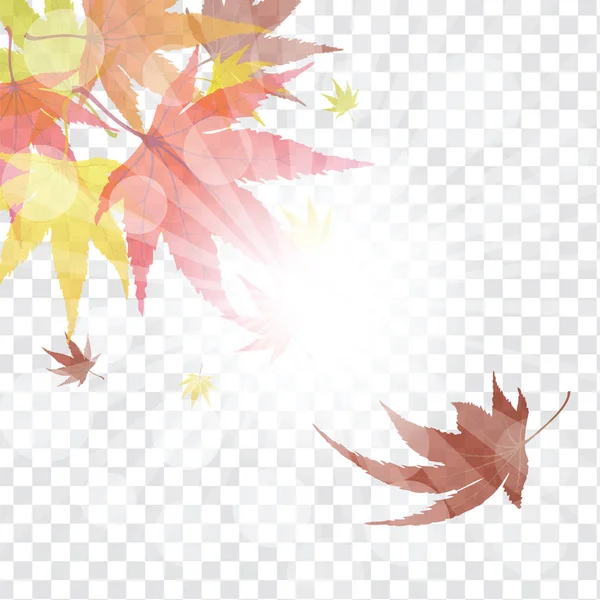 Autumn Frame Falling Maple Leaves Transparency Alpha Grid Background Vector — Stock Vector